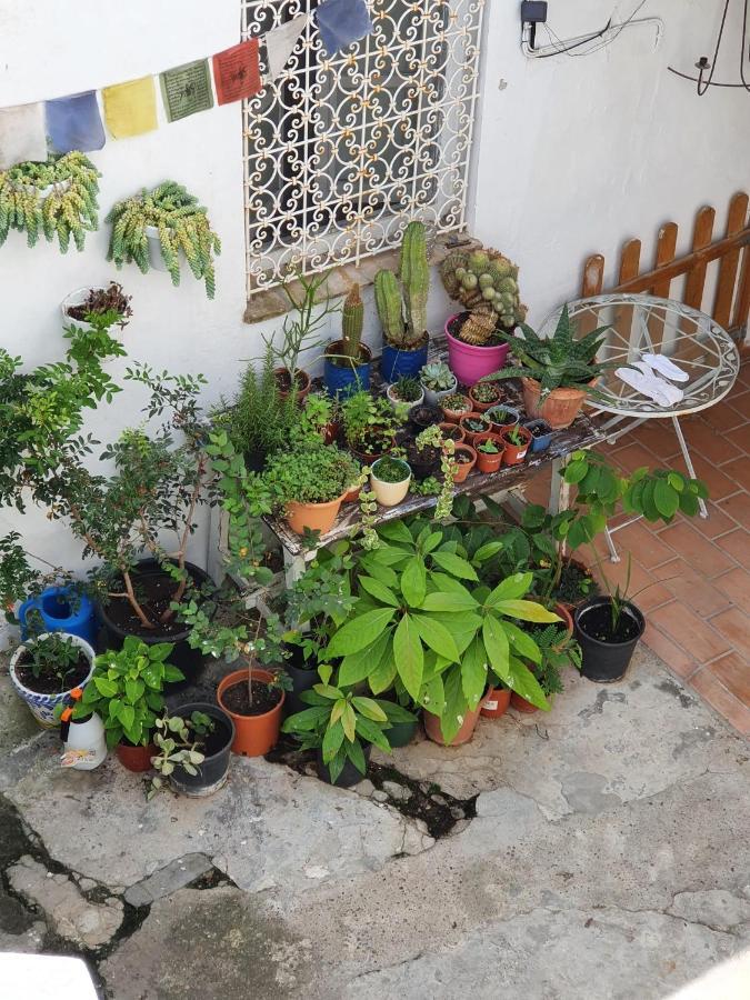 Casa Vera مْبيخير ذي لا فرونتيرا المظهر الخارجي الصورة